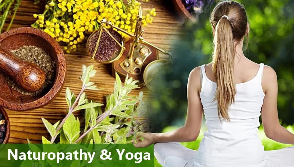 Nisarga Holistic Health Centre - Gallery Image 13